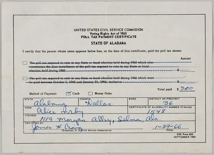 black history month 2020  - African Americans and the vote