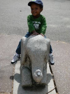 seaner
